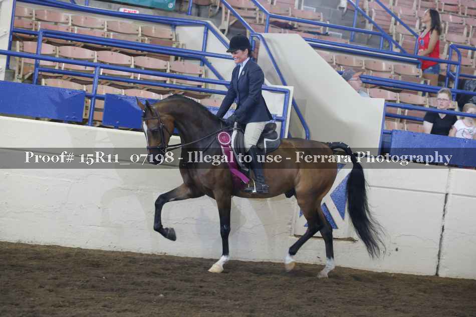 Proof 15R11_07198