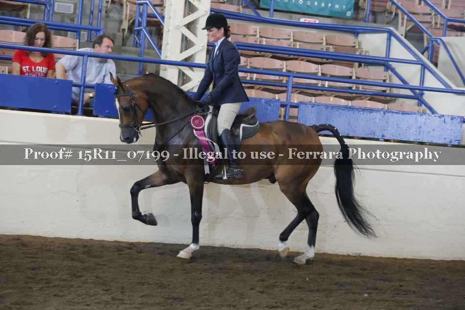 Proof 15R11_07199
