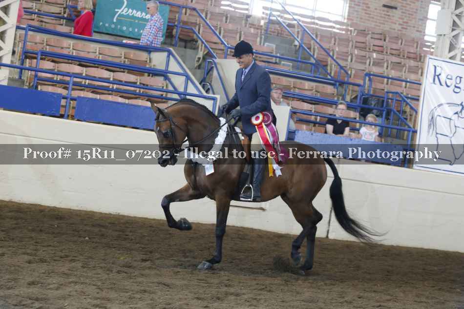Proof 15R11_07202