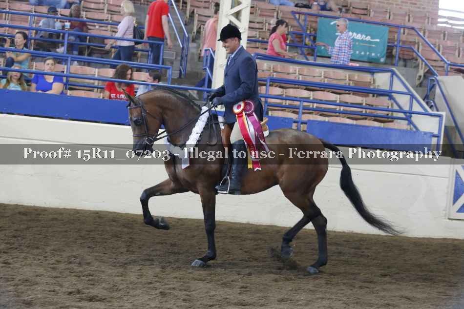 Proof 15R11_07203