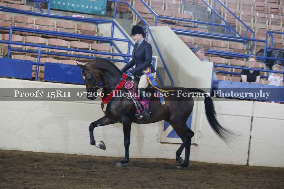 Proof 15R11_07206