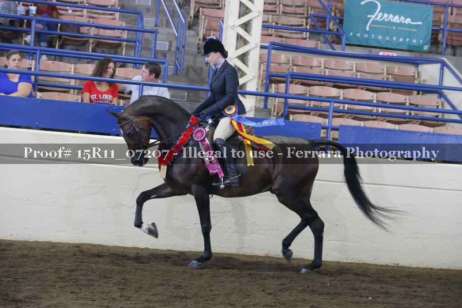 Proof 15R11_07207