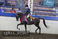 15R11_07207 proof