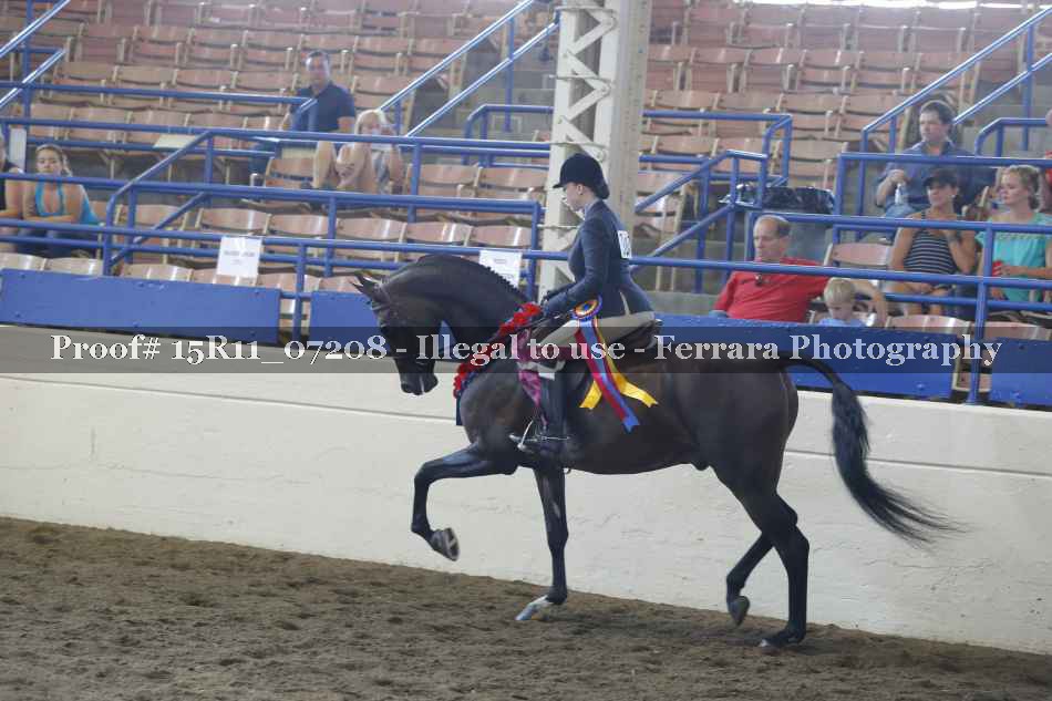 Proof 15R11_07208