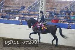 15R11_07208 proof