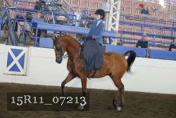 15R11_07213 proof