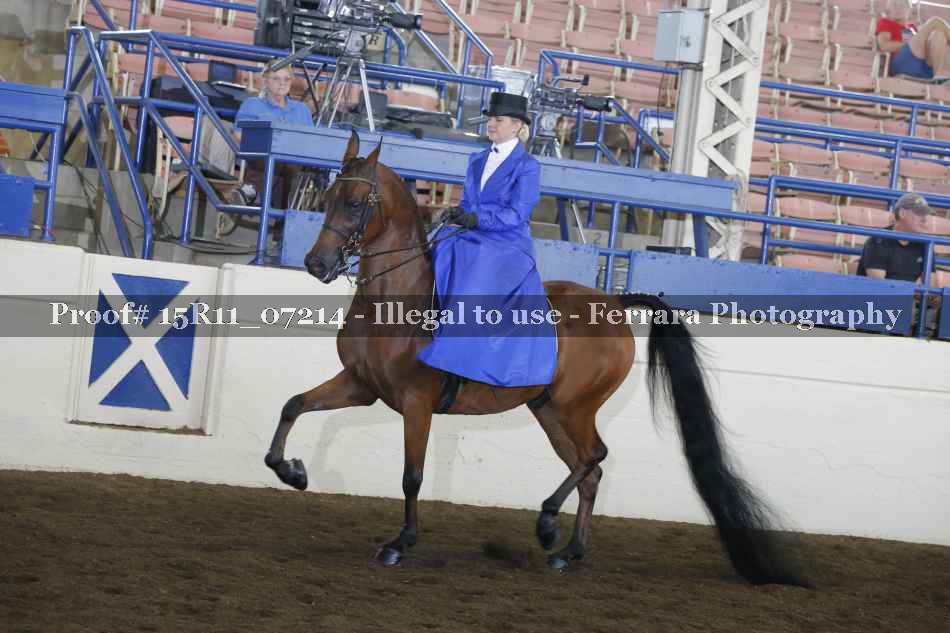 Proof 15R11_07214