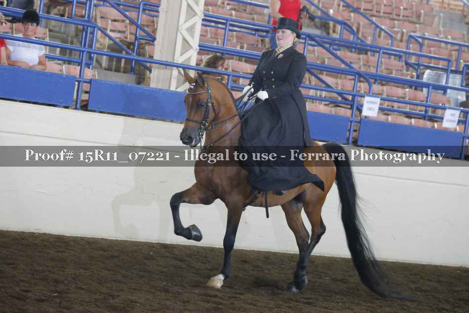Proof 15R11_07221