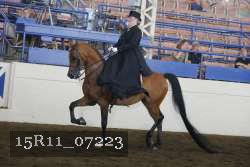 15R11_07223 proof