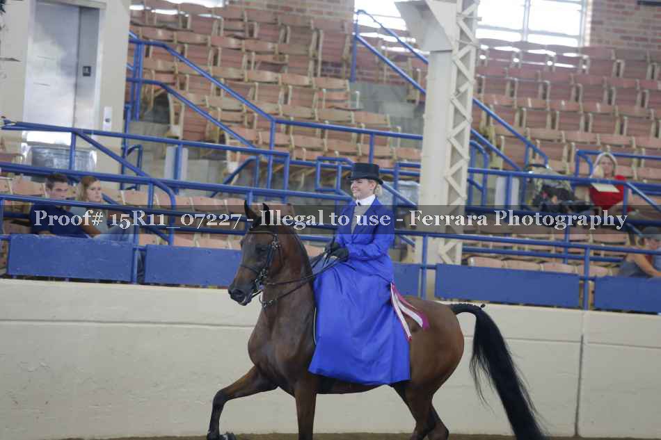 Proof 15R11_07227