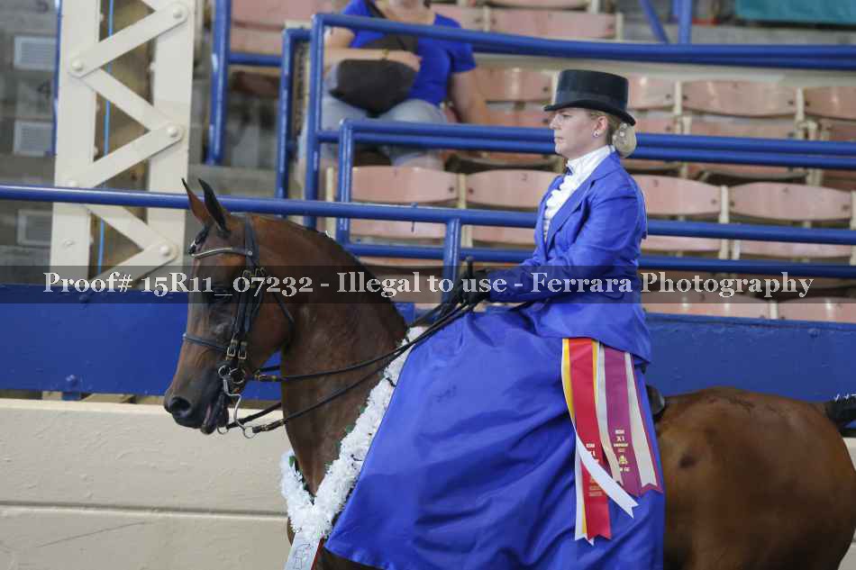 Proof 15R11_07232