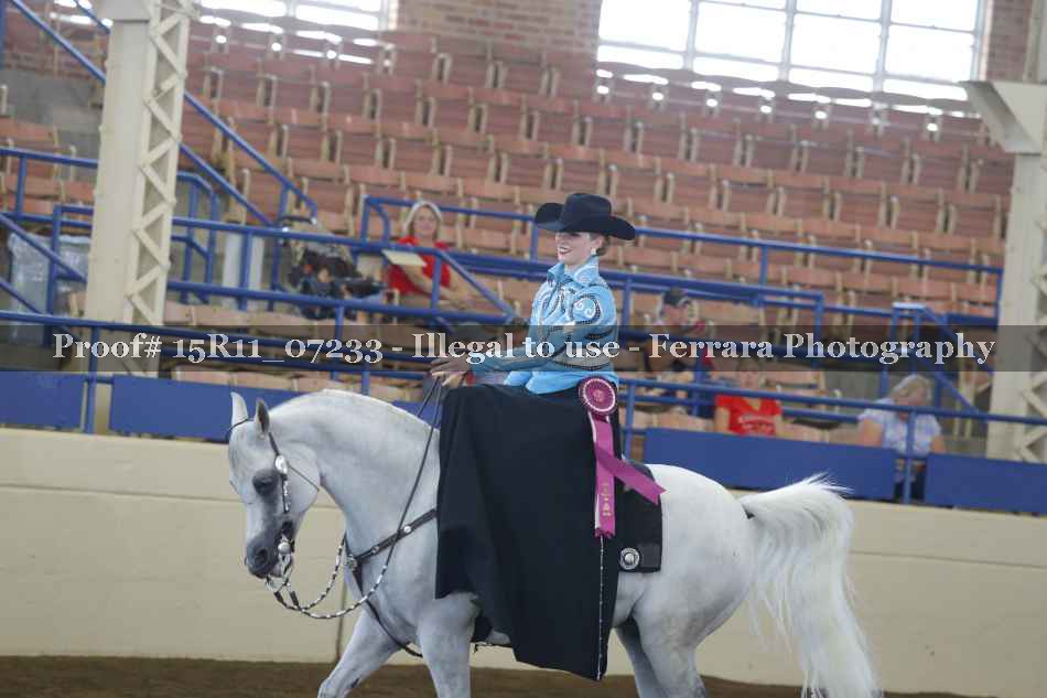 Proof 15R11_07233