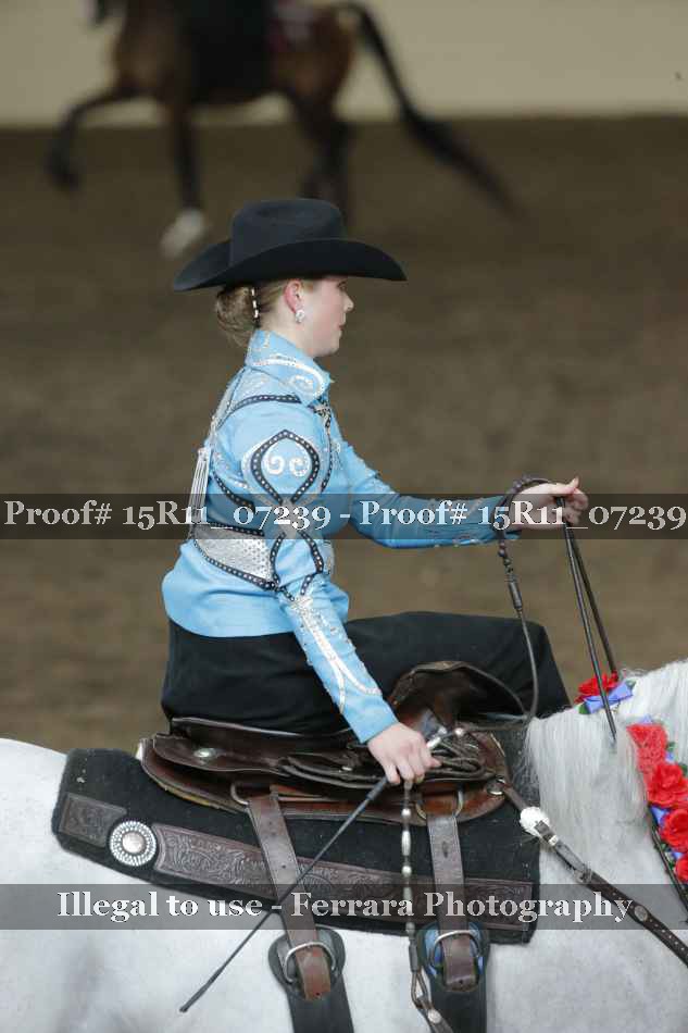 Proof 15R11_07239