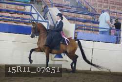 15R11_07251 proof