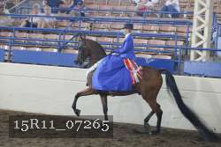 15R11_07265 proof