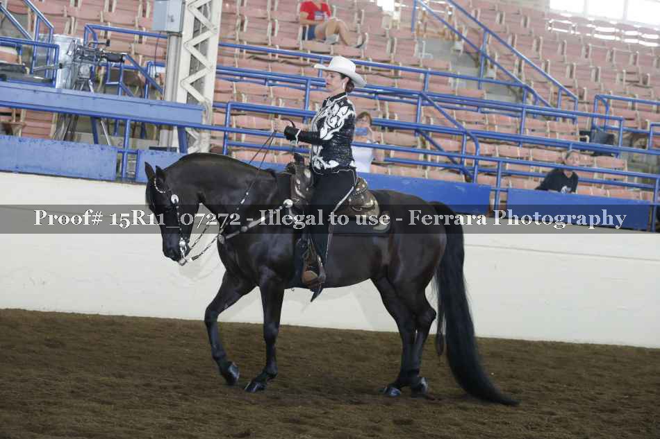 Proof 15R11_07272