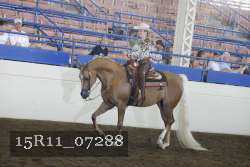 15R11_07288 proof