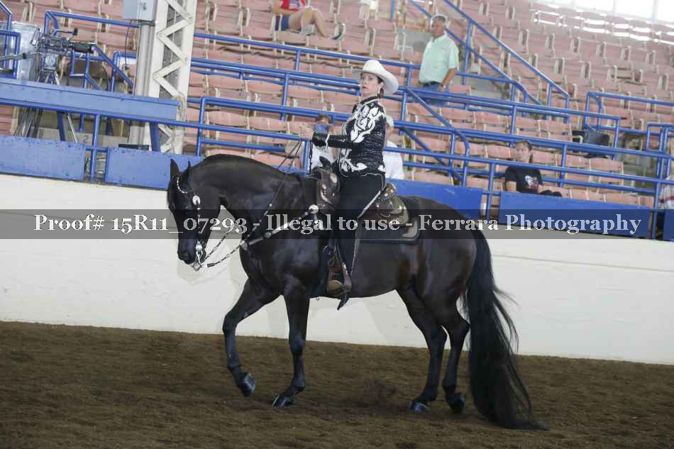 Proof 15R11_07293