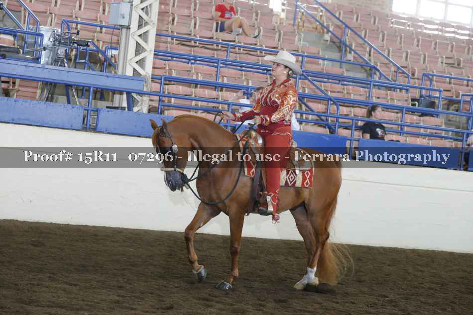 Proof 15R11_07296