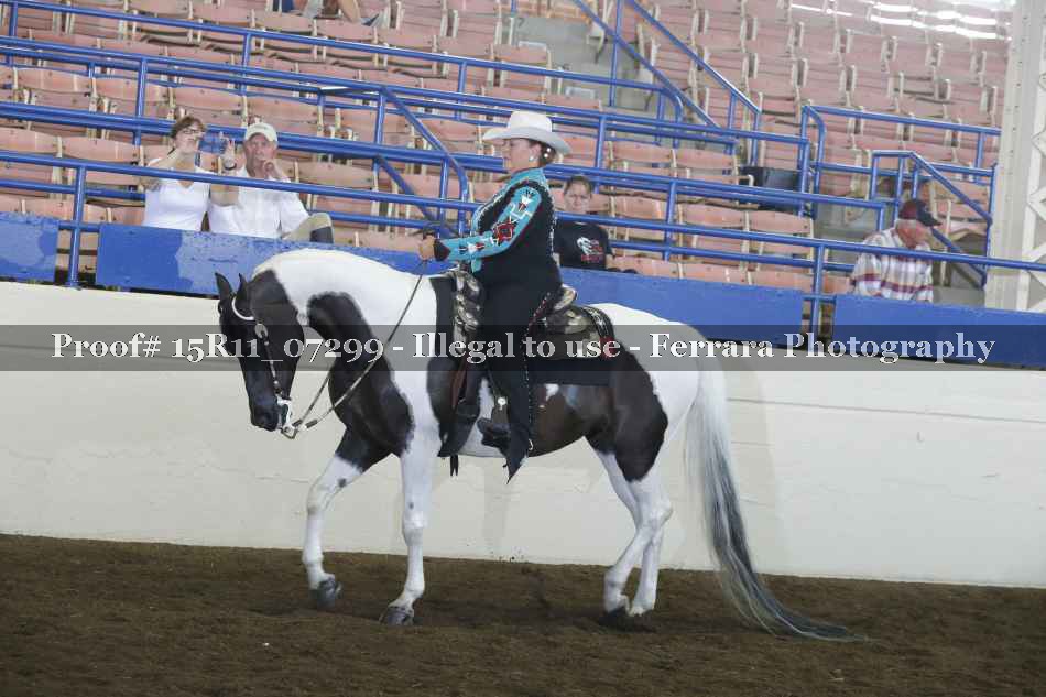 Proof 15R11_07299