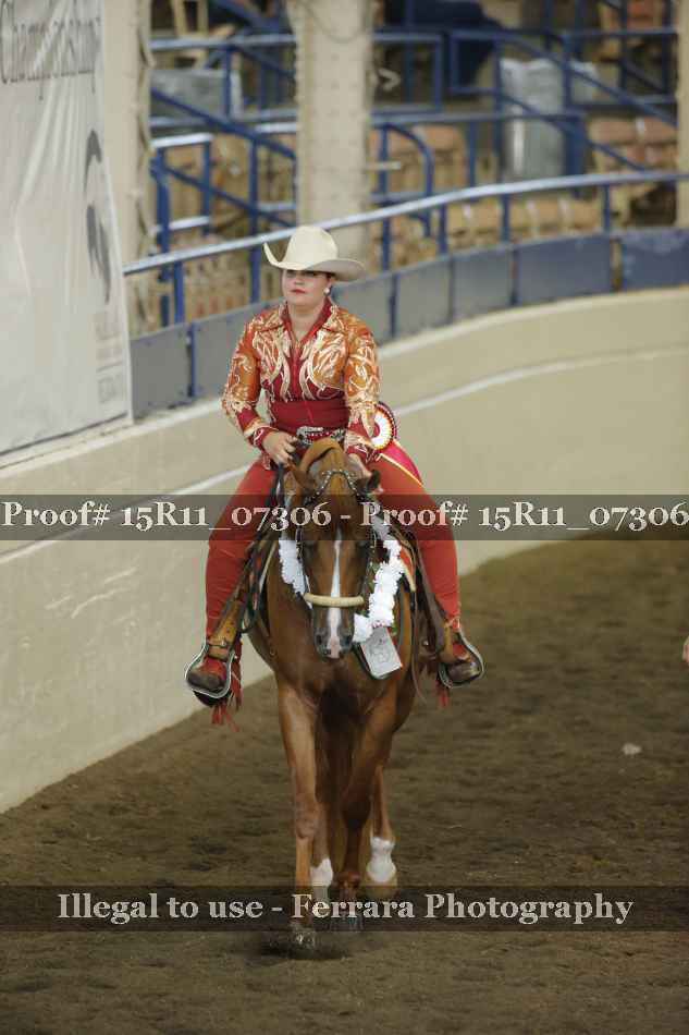 Proof 15R11_07306