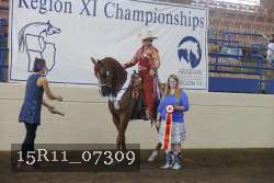15R11_07309 proof