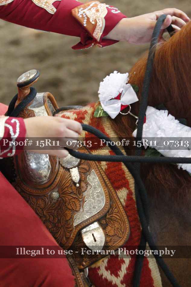Proof 15R11_07313