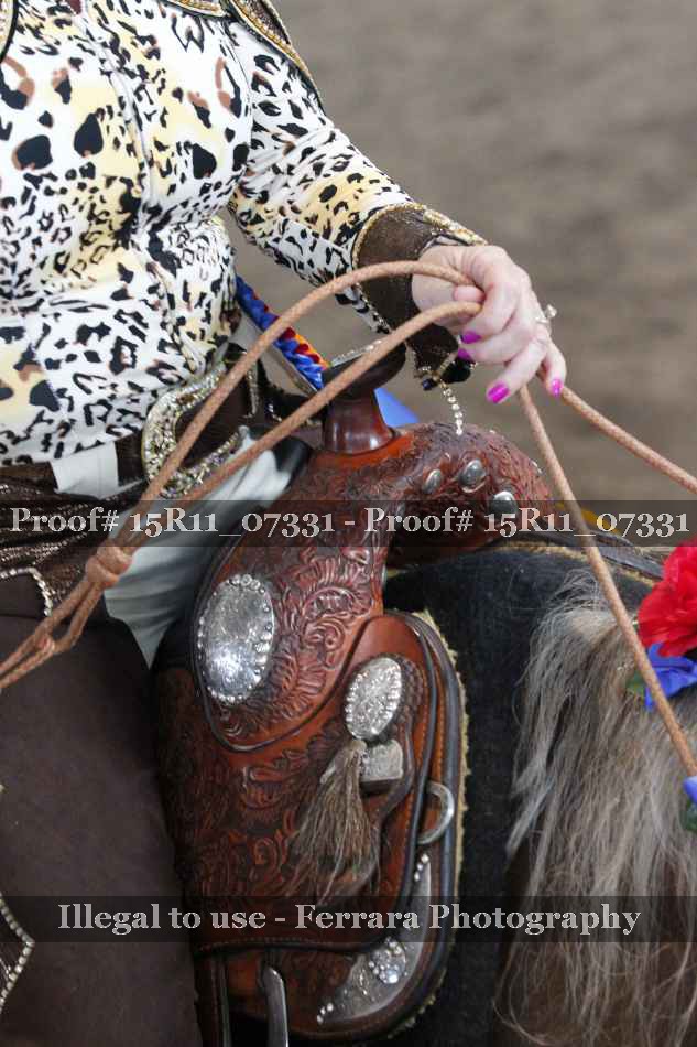Proof 15R11_07331