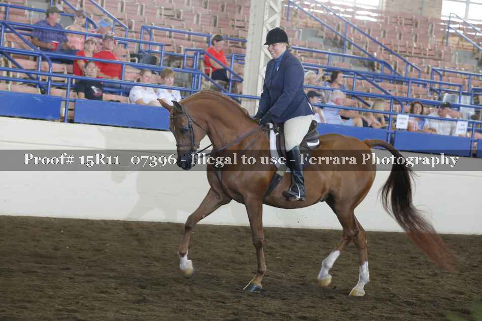 Proof 15R11_07396