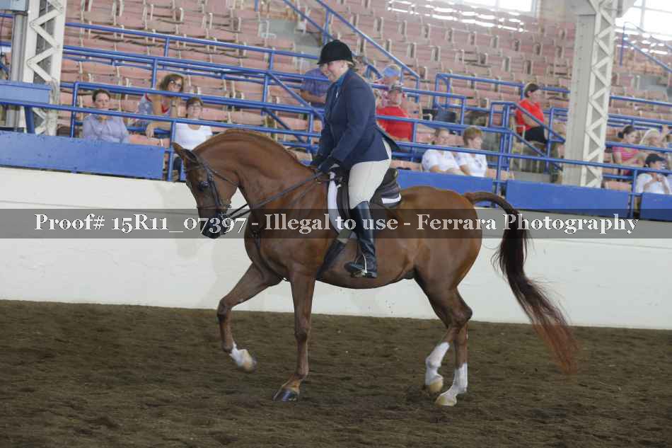 Proof 15R11_07397