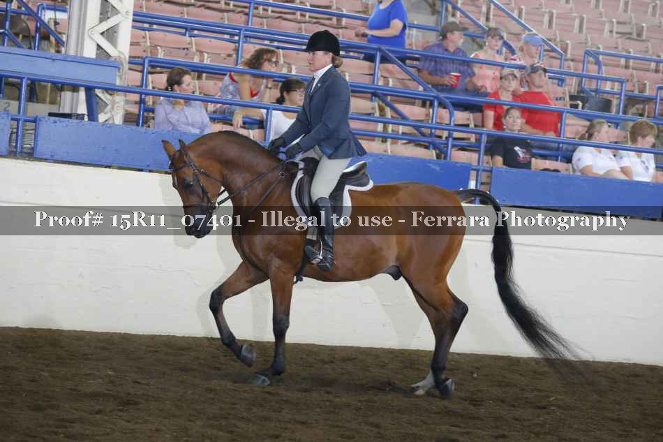 Proof 15R11_07401