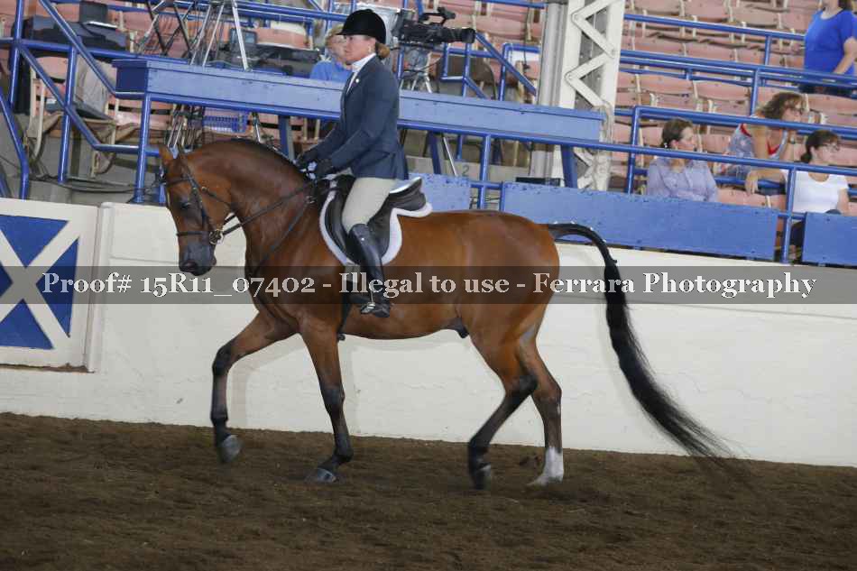 Proof 15R11_07402