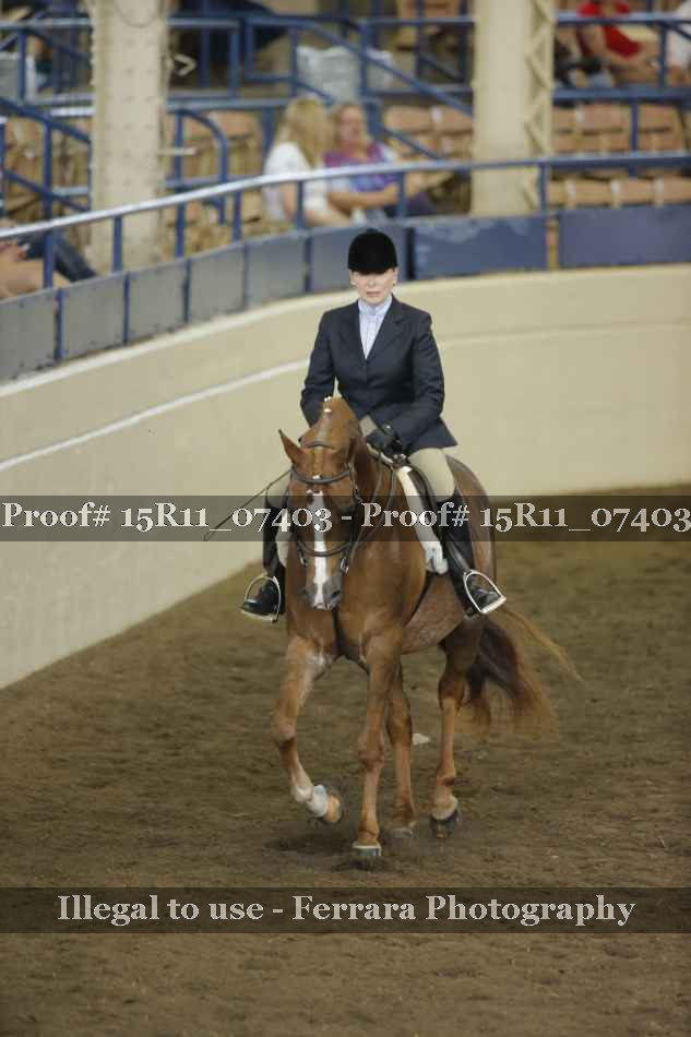 Proof 15R11_07403