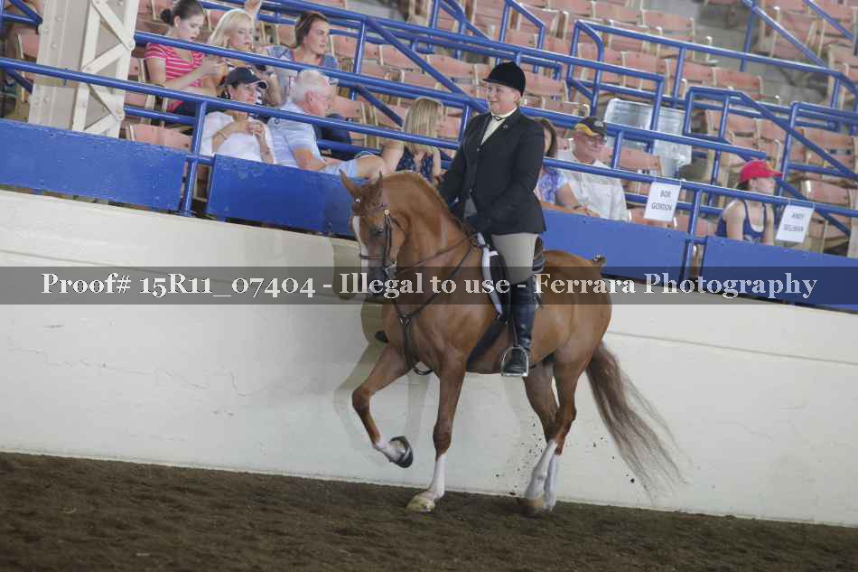 Proof 15R11_07404