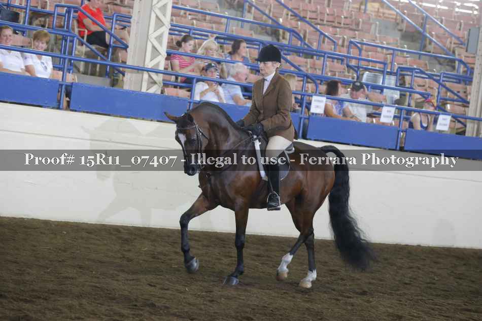Proof 15R11_07407