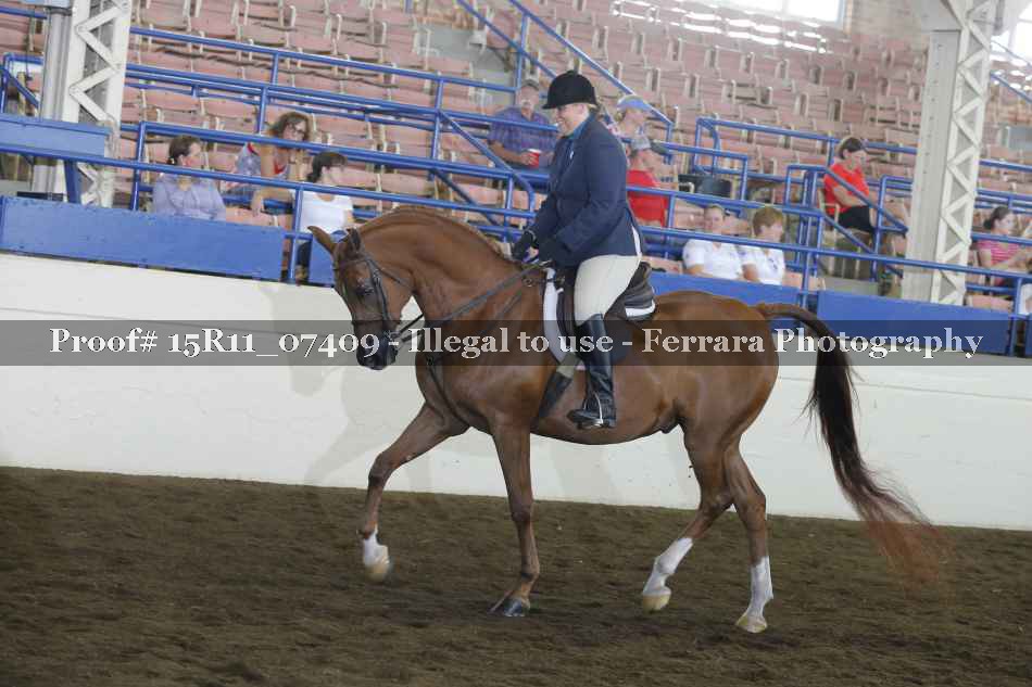 Proof 15R11_07409