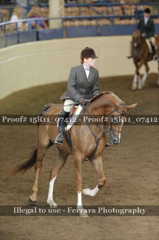 Proof 15R11_07412