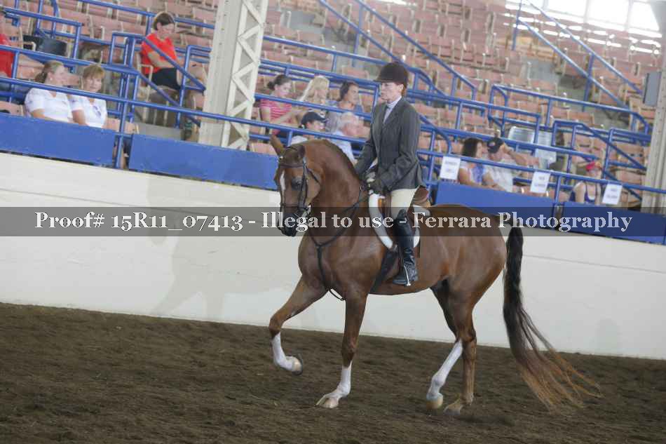 Proof 15R11_07413