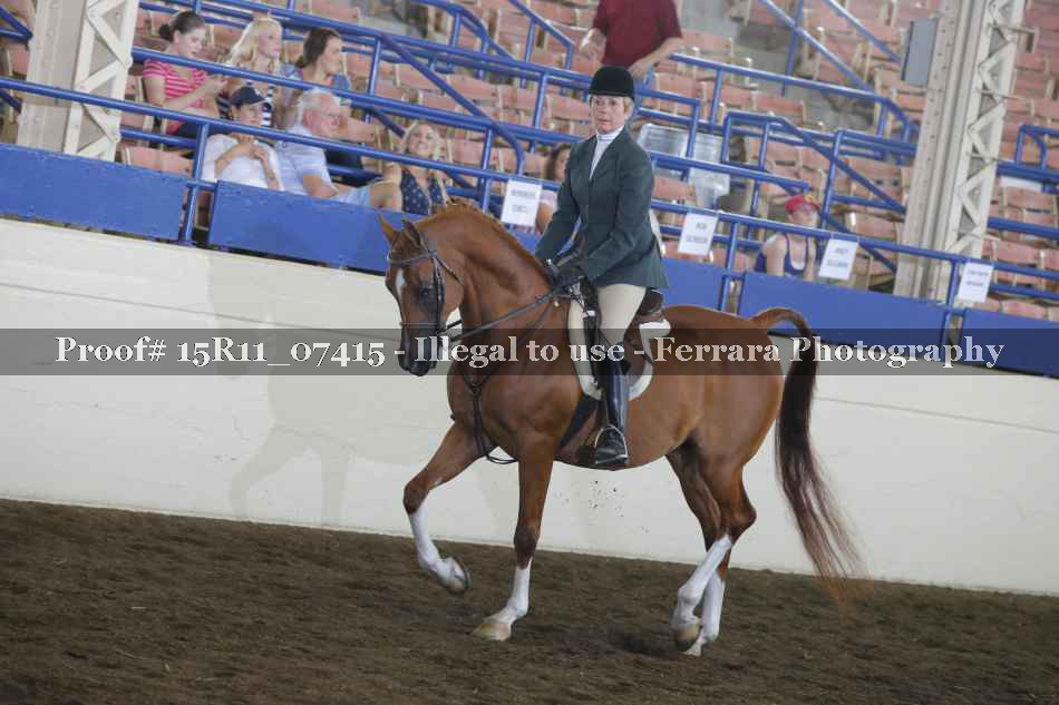 Proof 15R11_07415