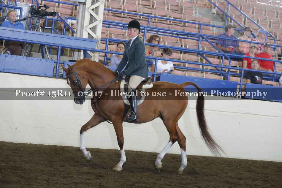 Proof 15R11_07417