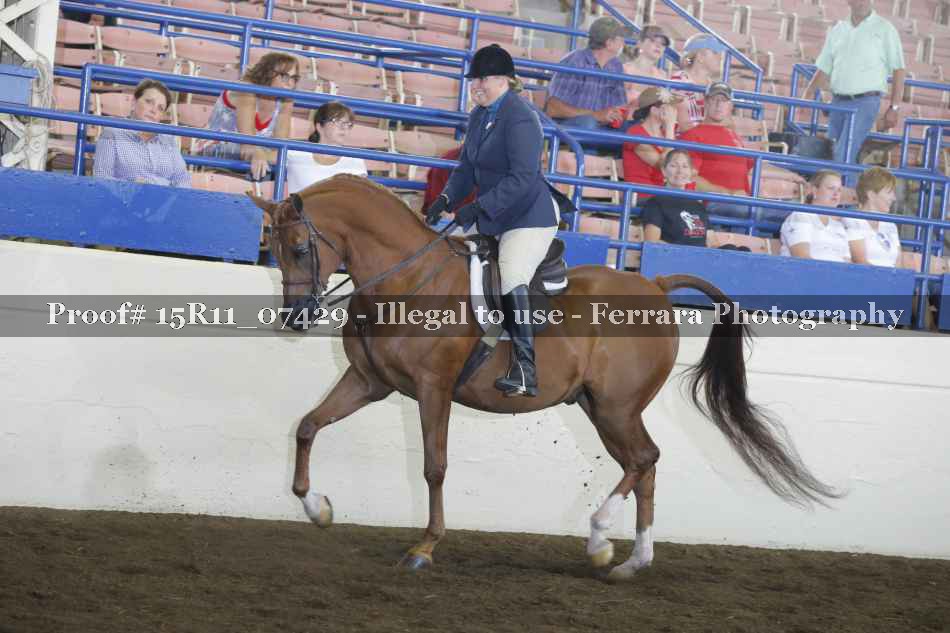 Proof 15R11_07429