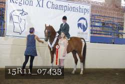 15R11_07433 proof