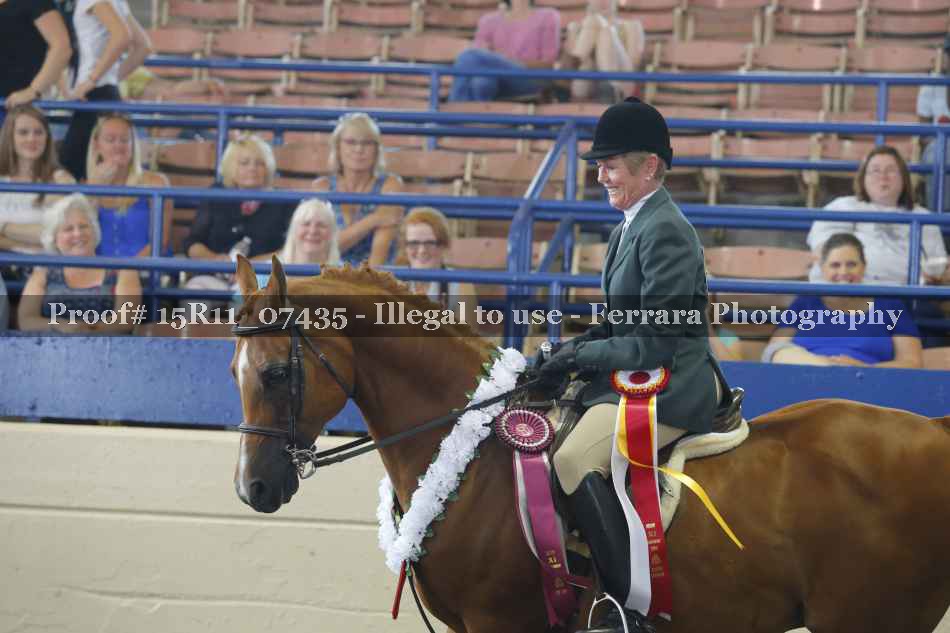 Proof 15R11_07435