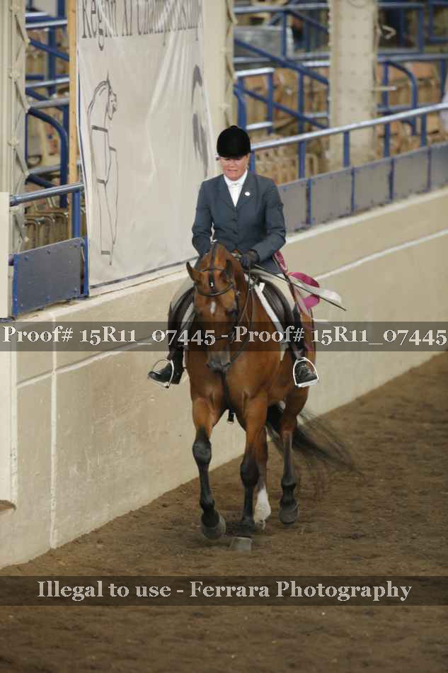 Proof 15R11_07445