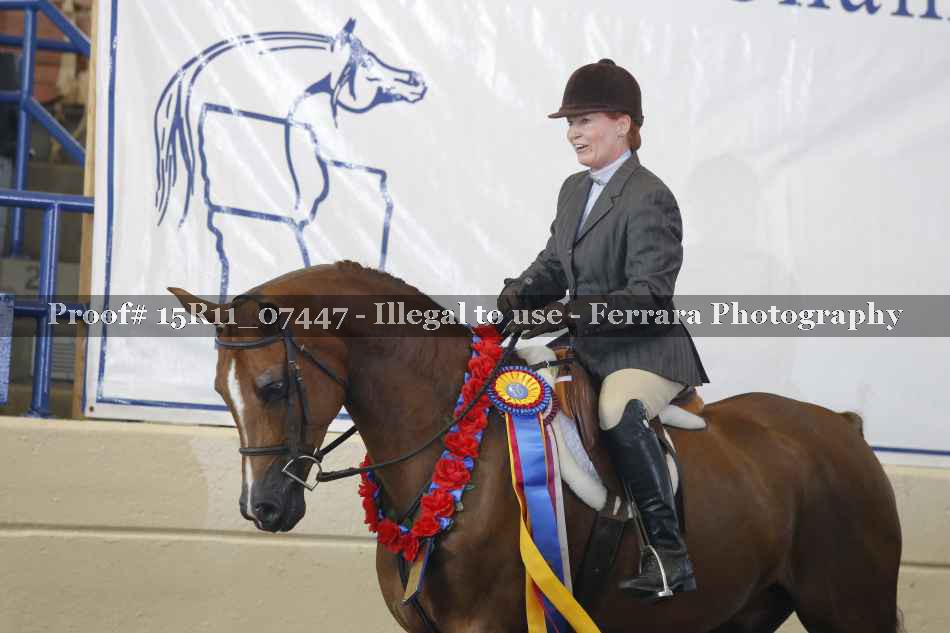 Proof 15R11_07447