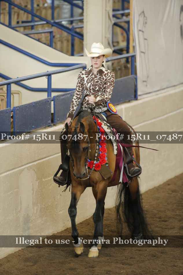 Proof 15R11_07487