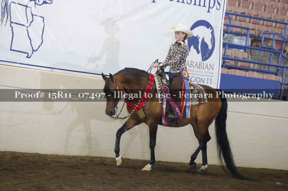 Proof 15R11_07497