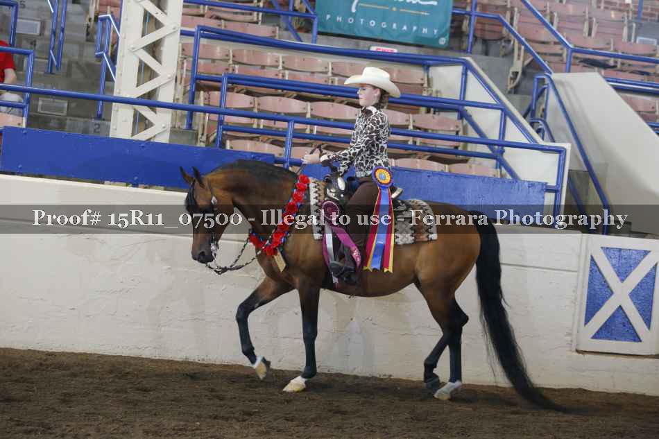 Proof 15R11_07500