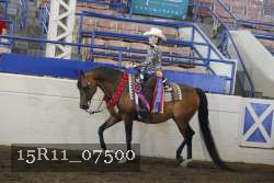 15R11_07500 proof