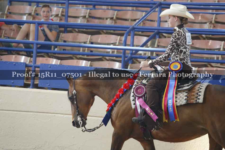 Proof 15R11_07501